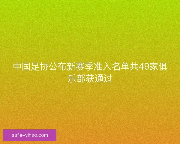 中国足协公布新赛季准入名单共49家俱乐部获通过